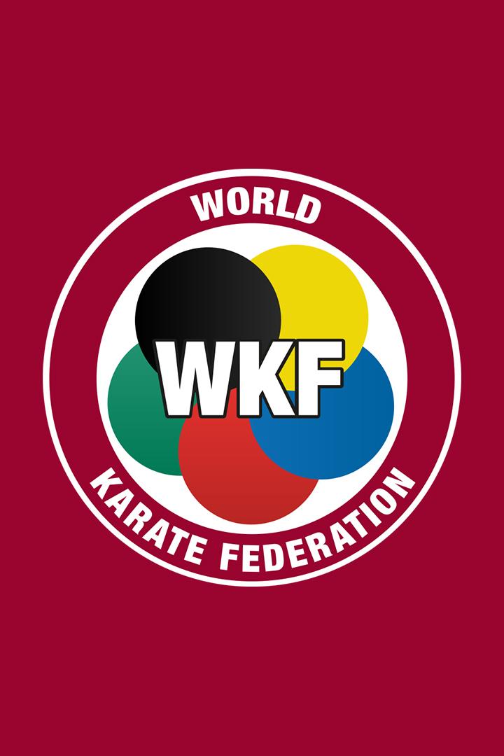 Каратэ. Чемпионат мира 2024. Полуфинал