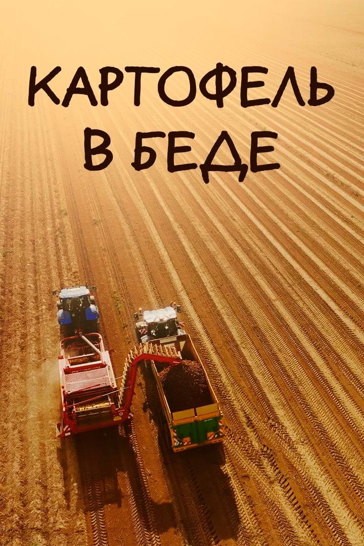 Картофель в беде