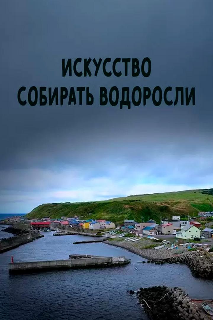 Искусство собирать водоросли