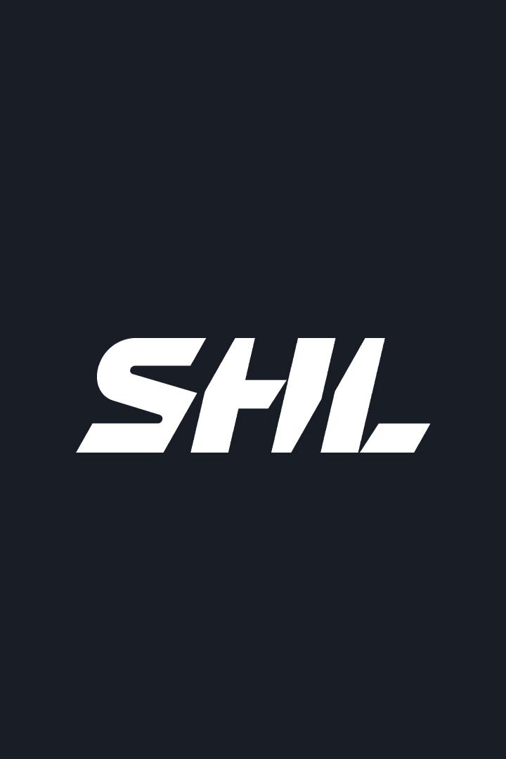Хоккей Шведская Хоккейная Лига SHL. Плей-офф 2024/25. Полуфинал. Брюнес (Евле) - Шеллефтео. Матч 5