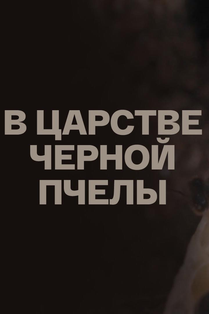 В царстве черной пчелы