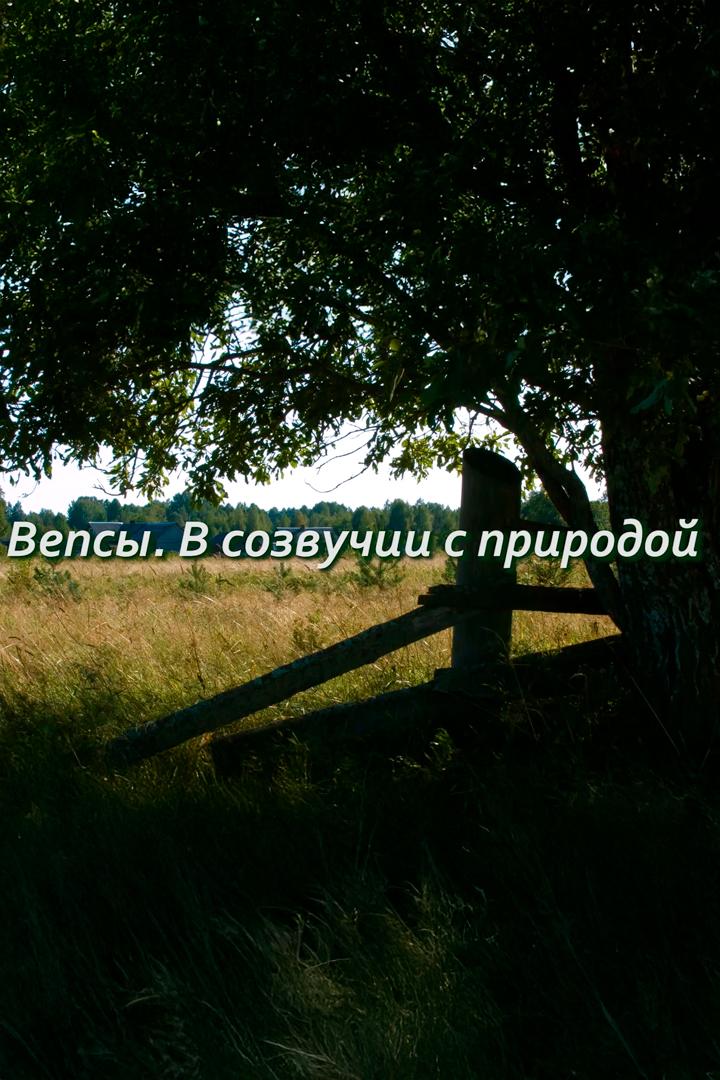Вепсы