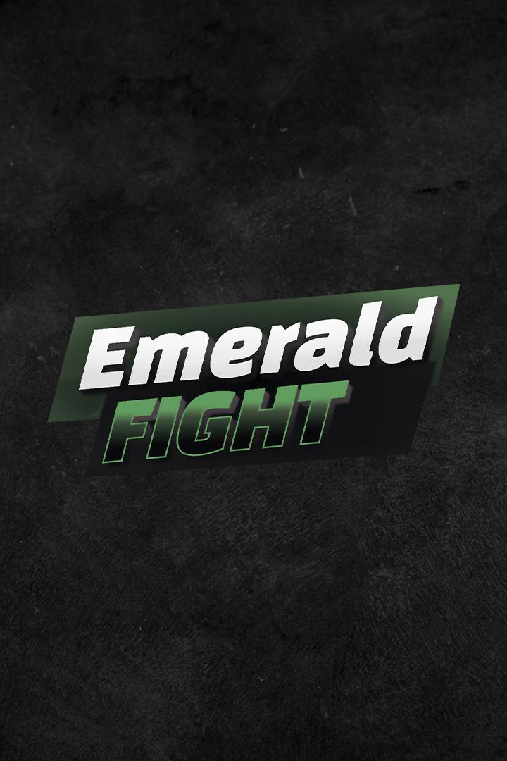 Тайский бокс. Emerald Fight Cup 4