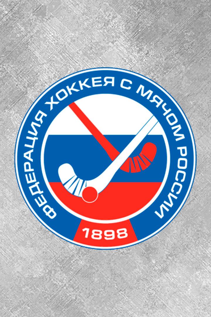 Хоккей с мячом. Кубок России. Енисей (Красноярск) - Кузбасс (Кемерово)