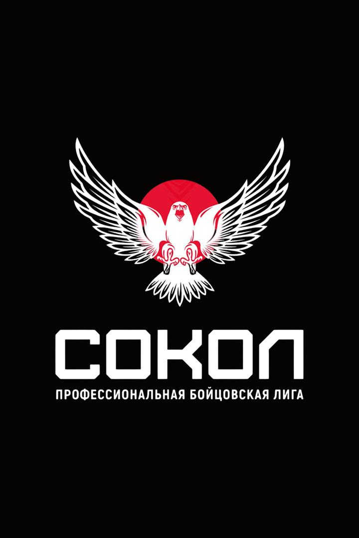 Смешанные единоборства. Бойцовская лига "Сокол". Трансляция из Краснодара