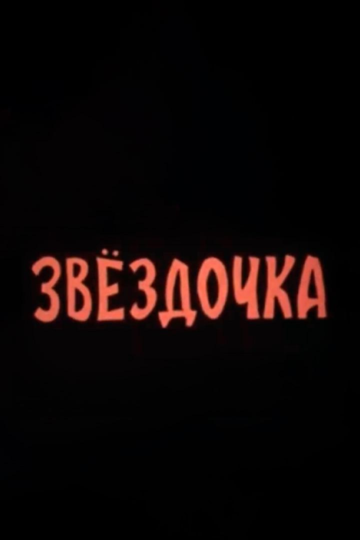 Звездочка №41