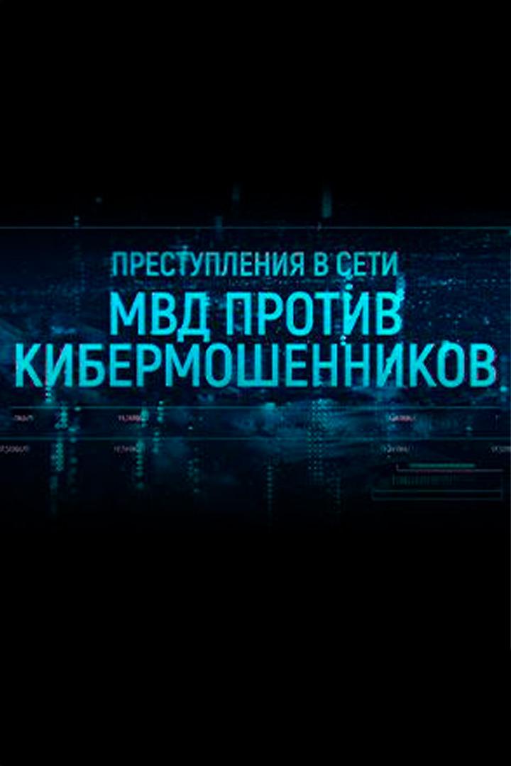 Преступления в сети: МВД против кибермошенников