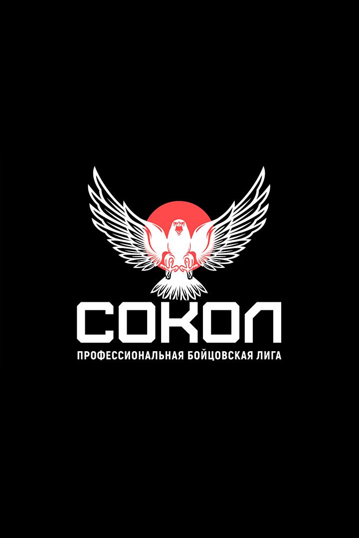 Смешанные единоборства. Профессиональная бойцовская лига "Сокол". Виктор Немков против Хадиса Ибрагимова. Трансляция из Москвы
