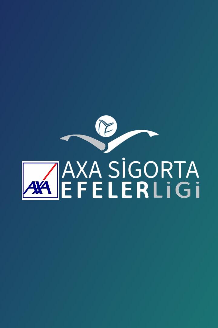 Волейбол. Чемпионат Турции. Мужчины. Халкбанк - Гебзе