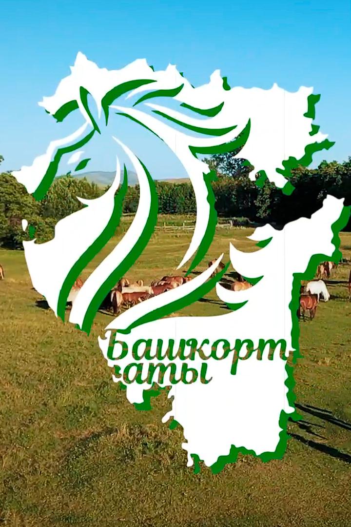 Башкорт аты - бренд Башкортостана