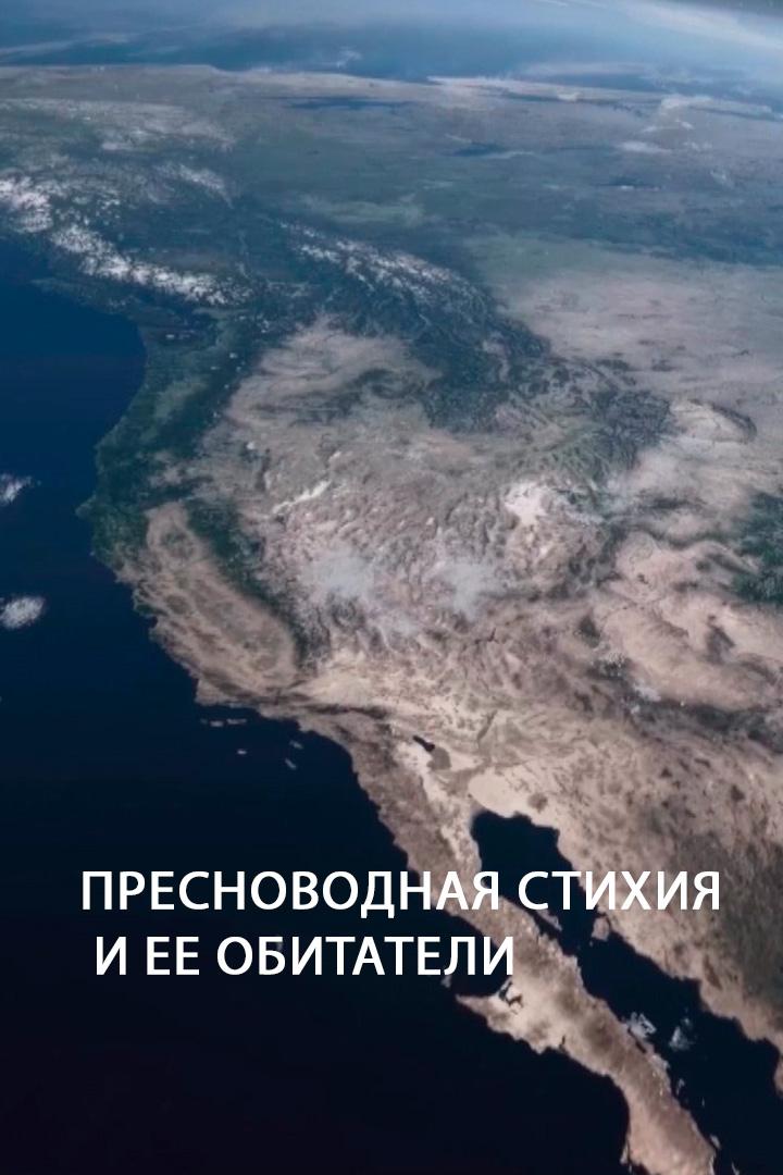 Пресноводная стихия и ее обитатели