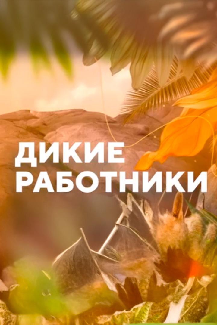 Дикие работники