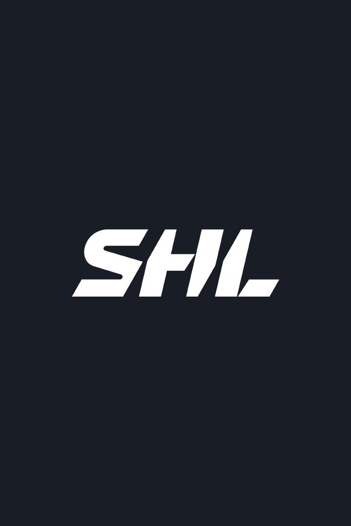 Хоккей Шведская Хоккейная Лига SHL. Плей-офф 2025/26. Финал. Рёгле (Энгельхольм) - Шеллефтео. Матч 3