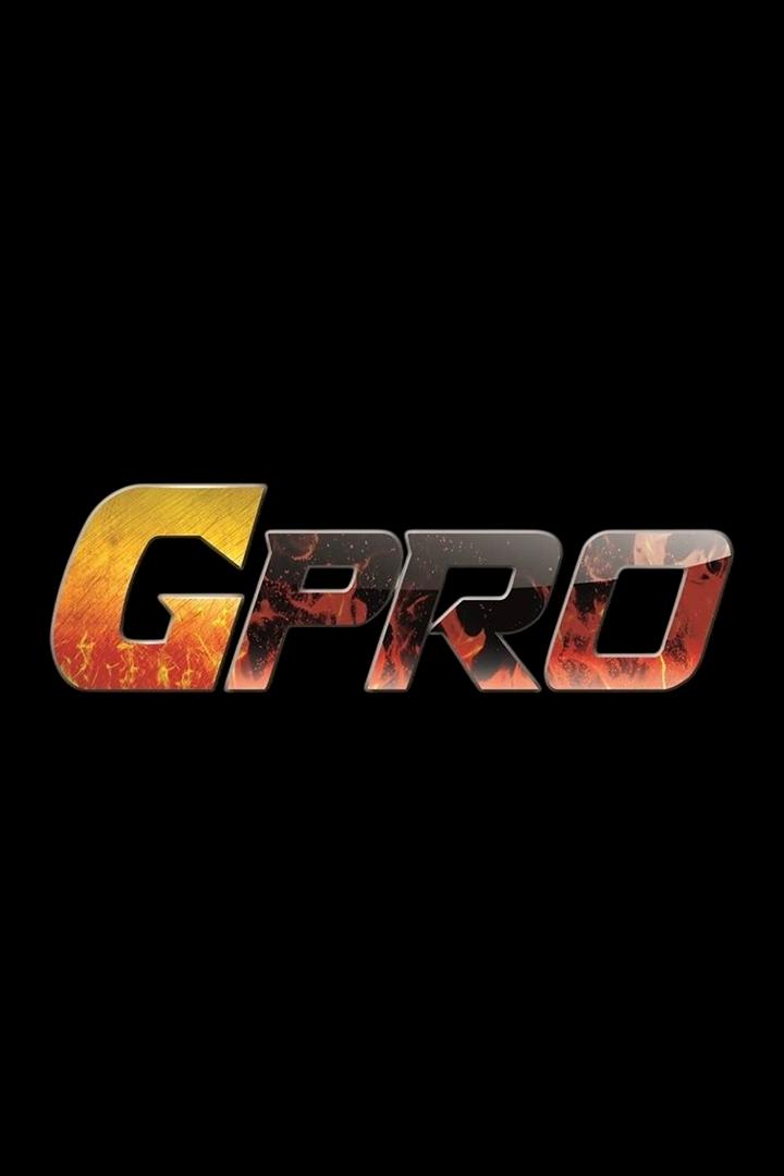 Кикбоксинг. Женский бой за Кубок GPRO. Часть 2-я