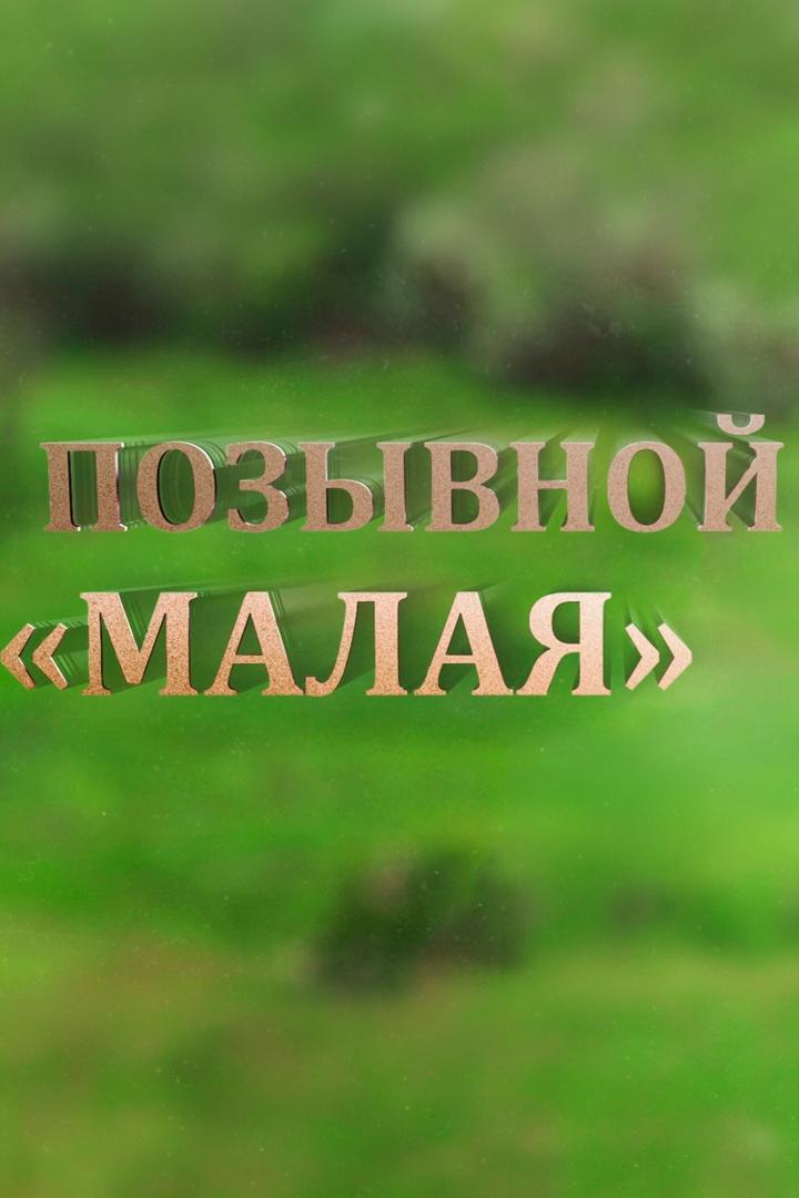 Позывной «Малая»