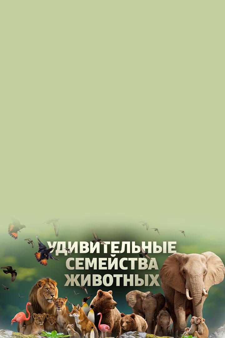 Удивительные семейства животных