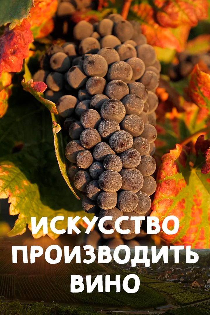 Искусство производить вино