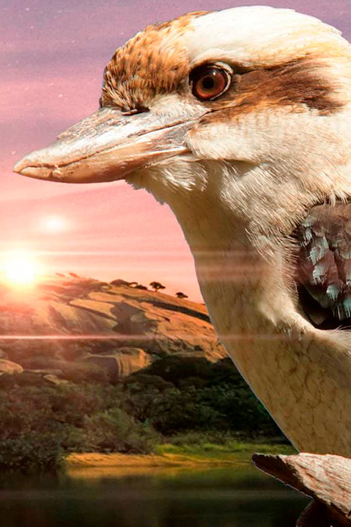 Магия озёр