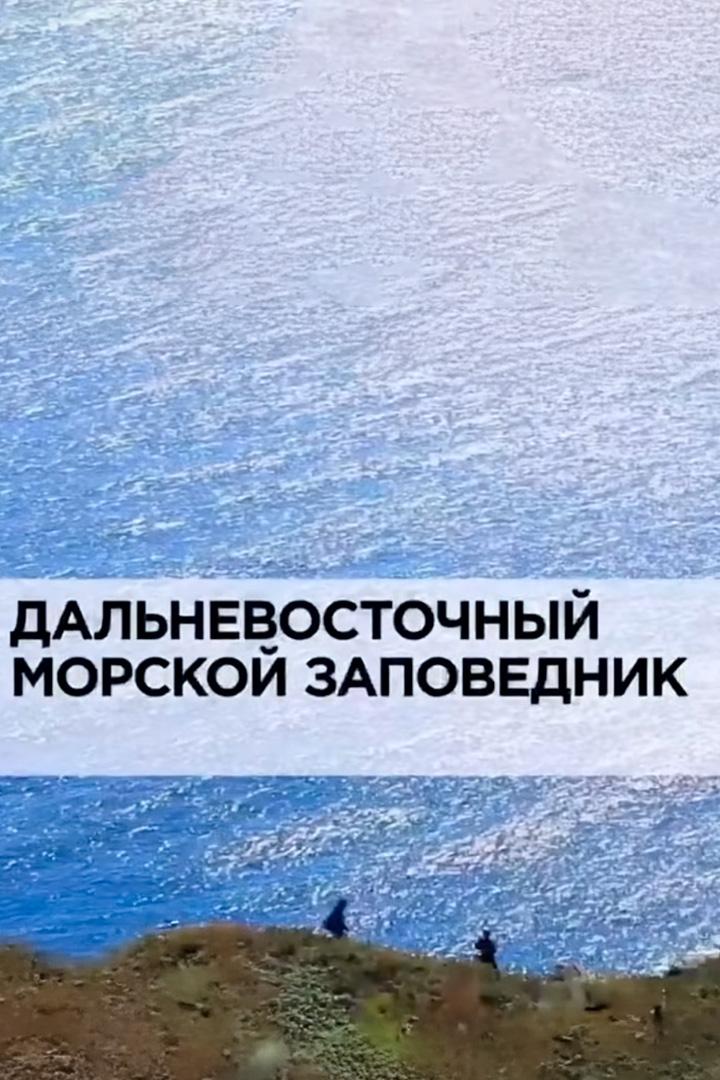 Животный мир. Дальневосточный морской заповедник