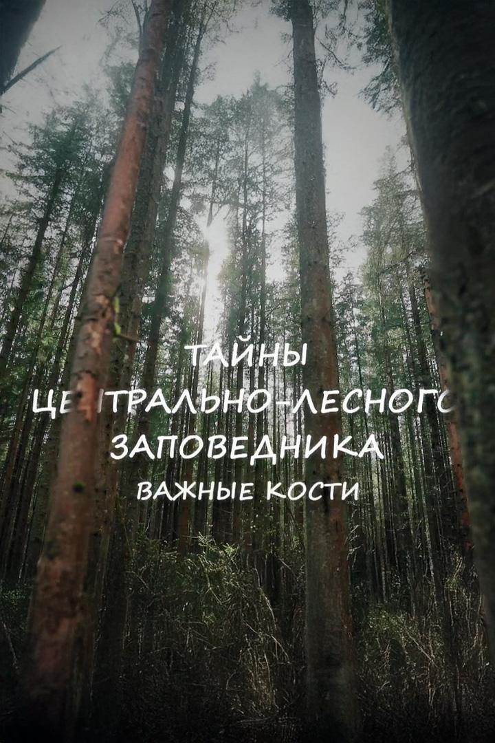 Тайны Центрально-Лесного заповедника