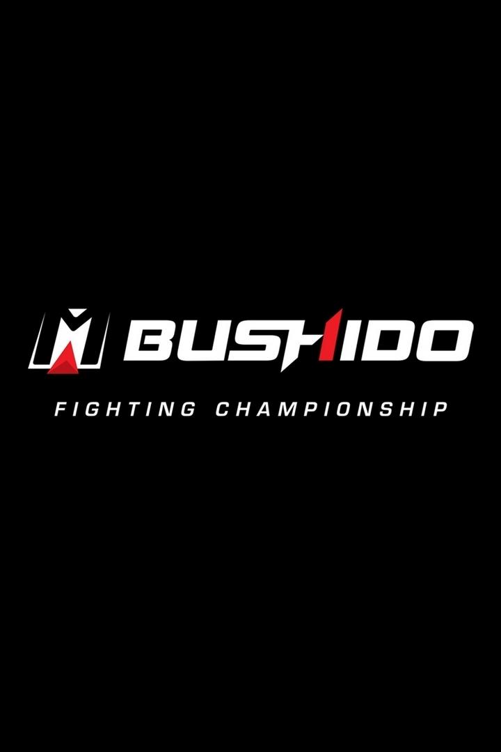 Турнир Bushido Fighting Championship Featherweight Grand Prix 2020 (MMA, кикбоксинг и бокс -профессионалы). Алматы (Казахстан)