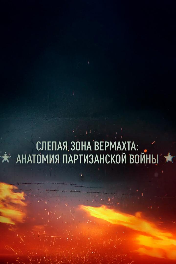 Слепая зона Вермахта: Анатомия партизанской войны