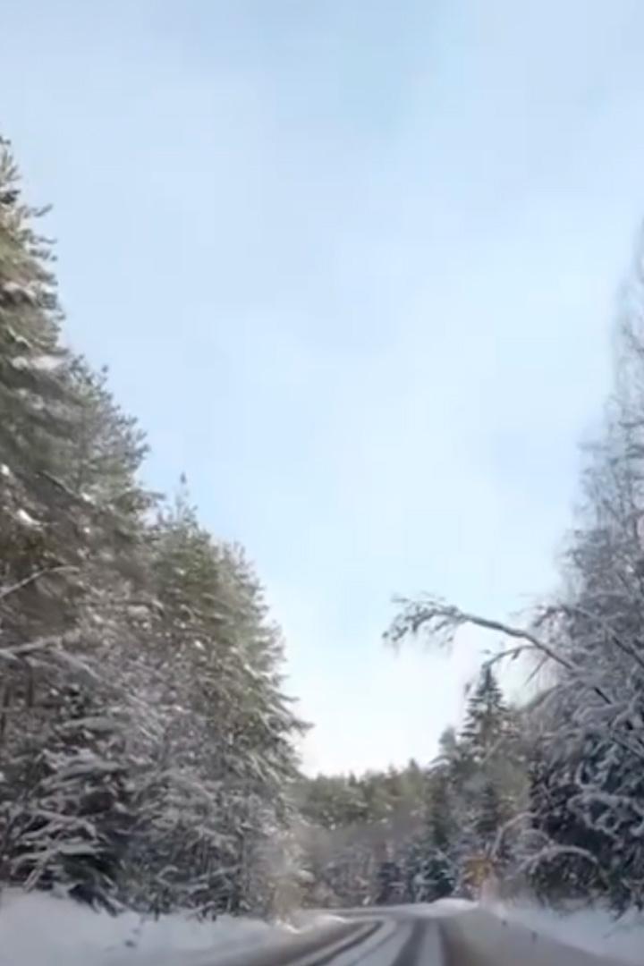 Слушая звёзды
