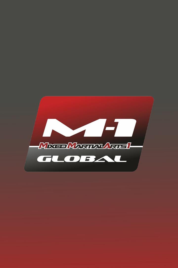 WKG 2026 ММА Fighting in Aksu