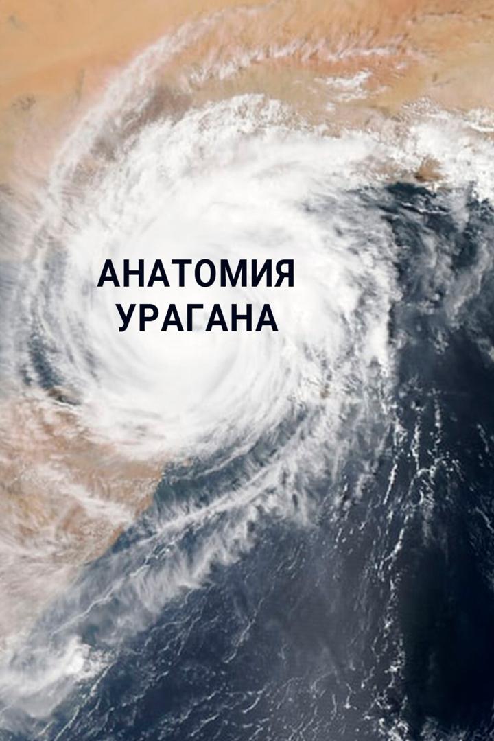 Анатомия урагана