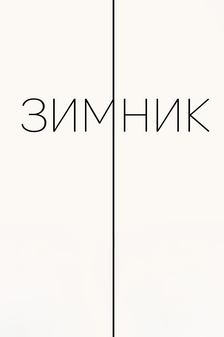 Зимник