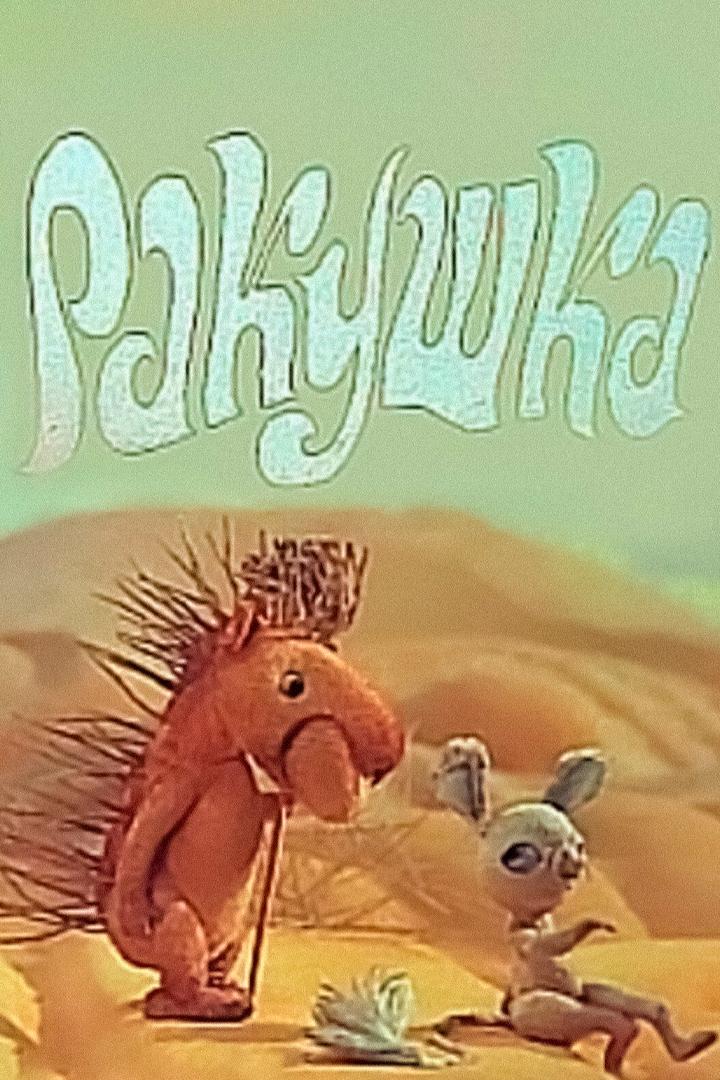 Ракушка