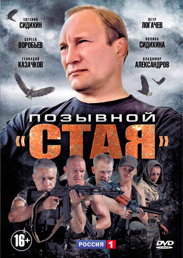 Позывной "Стая"