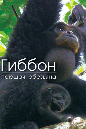 Гиббон - поющая обезьяна