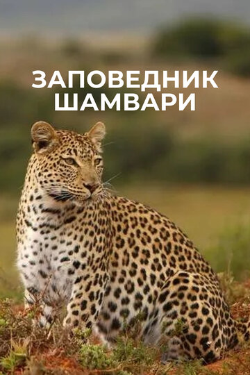 Неукрощенный Шамвари