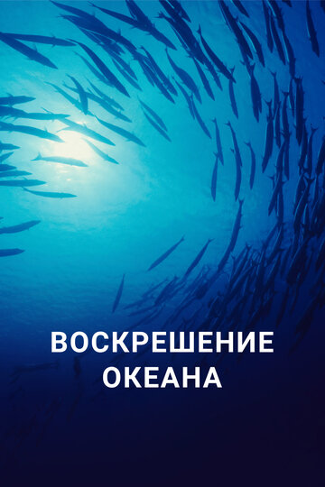 Воскрешение океана